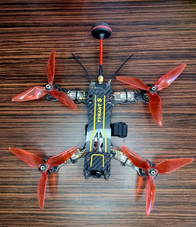 Diatone tyrant s online