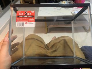 (Category: ) located in . Submitted by localtalent (Listing ID 1161602774, Image 1). Description: .