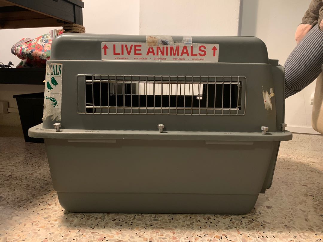 Pet carrier (airline approved) Petmate Sky Kennel Ultra 100, Pet