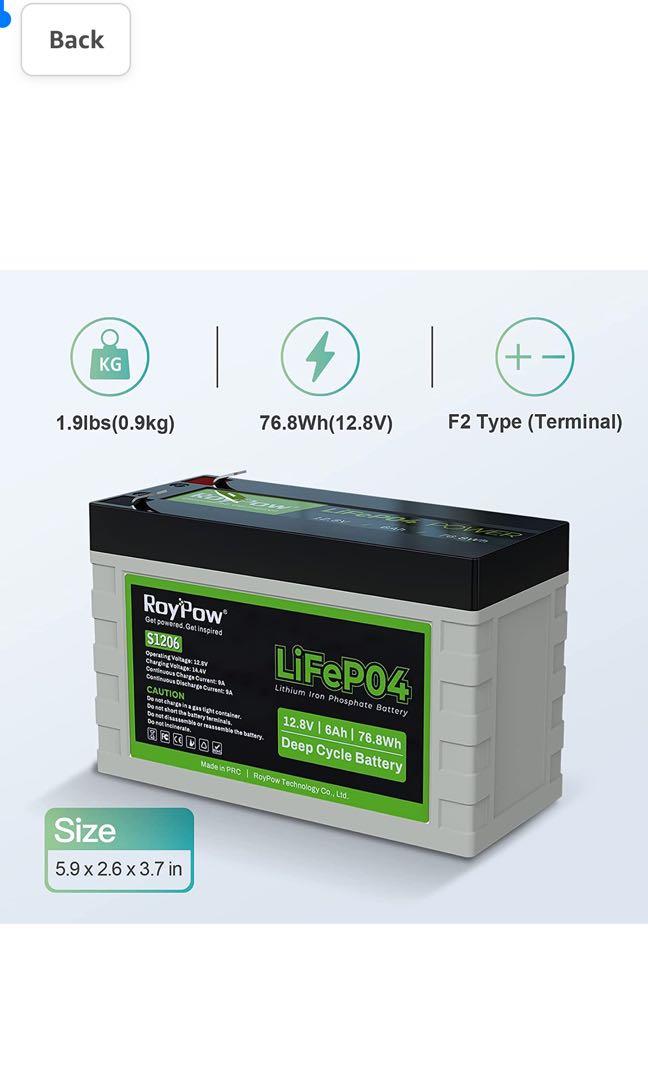 RoyPow Lithium LiFePO4 Batterie 24V - 100Ah (2400Wh) günstig online kaufen