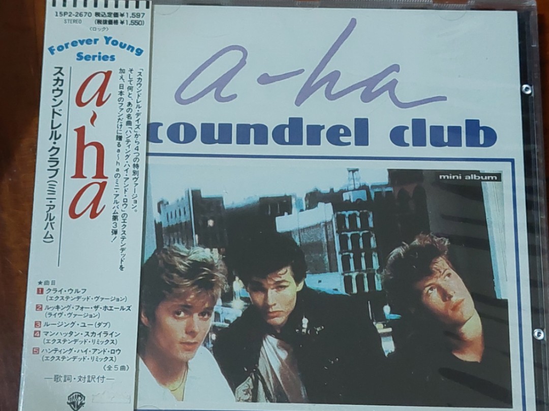 a-ha hunting high and low アー・ハ 日本盤LP - 洋楽