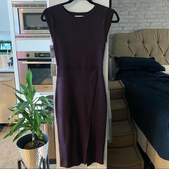 Babaton by aritzia purple dress hot sale