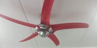 (Category: ) located in . Submitted by ema555 (Listing ID 1158520977, Image 1). Description: .