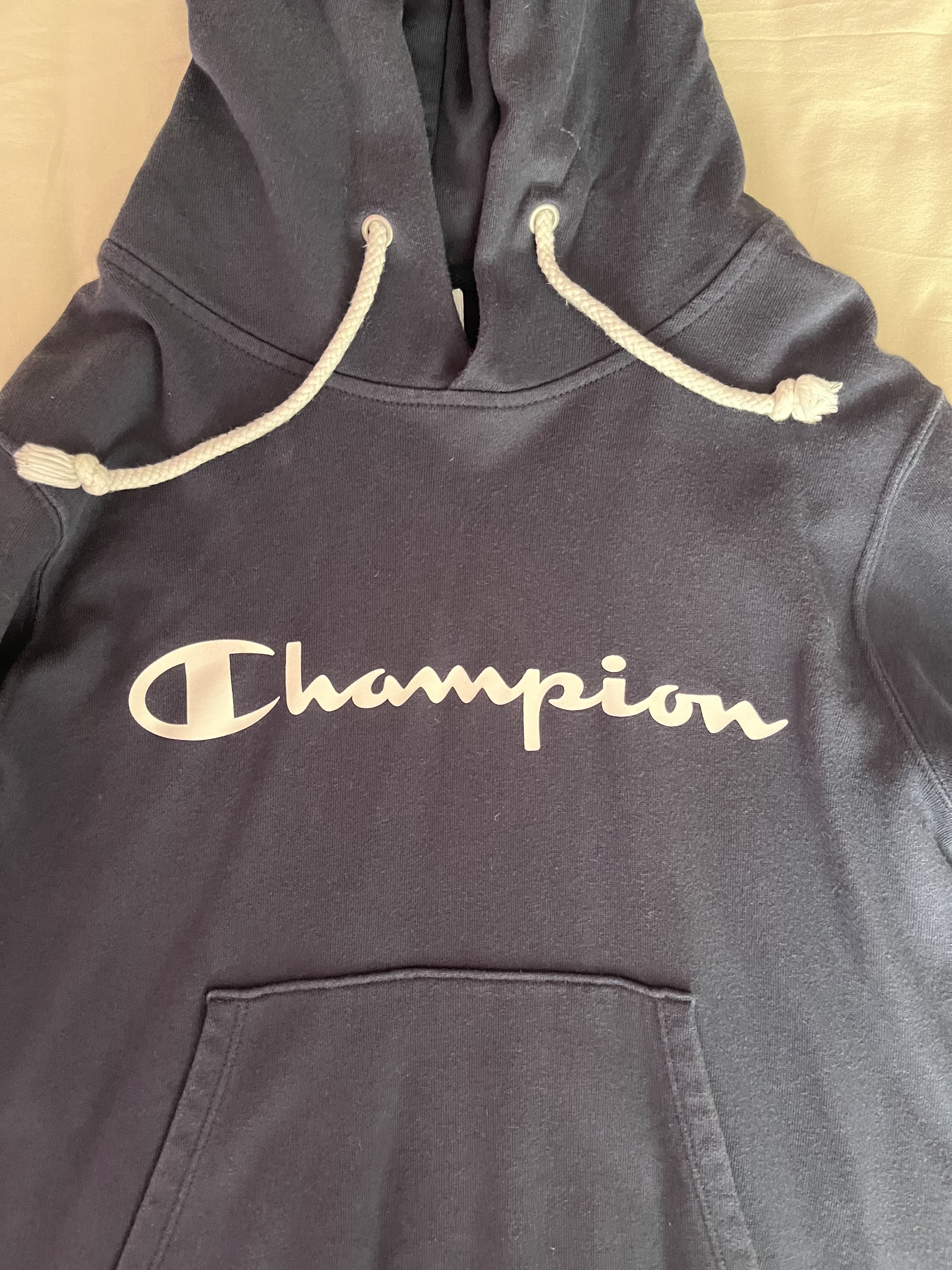 periwinkle champion hoodie