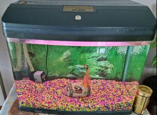 (Category: ) located in . Submitted by nvk123 (Listing ID 1158359197, Image 1). Description: .