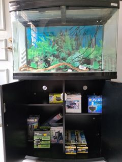 (Category: ) located in . Submitted by debtan77 (Listing ID 1157955100, Image 1). Description: .