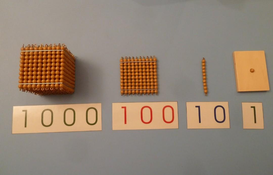 Montessori Golden Bead Decimal System, Hobbies & Toys, Toys & Games on ...
