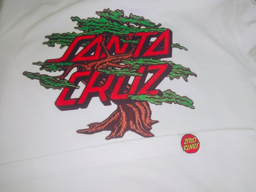 Santa Cruz Daniel Padilla Bonsai Theme 