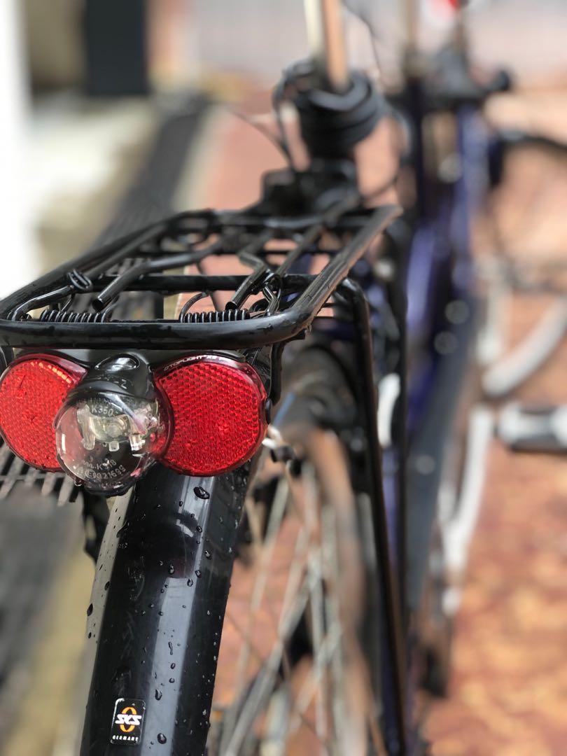 copilot double bike trailer