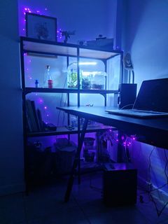 (Category: ) located in . Submitted by undergroundbeavers (Listing ID 1161770244, Image 1). Description: .
