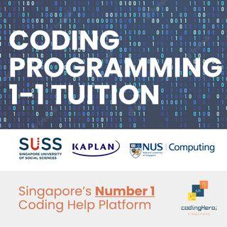1-1 Python/Java Programming Tuition Mathematics Science Coding Coaching University Poly