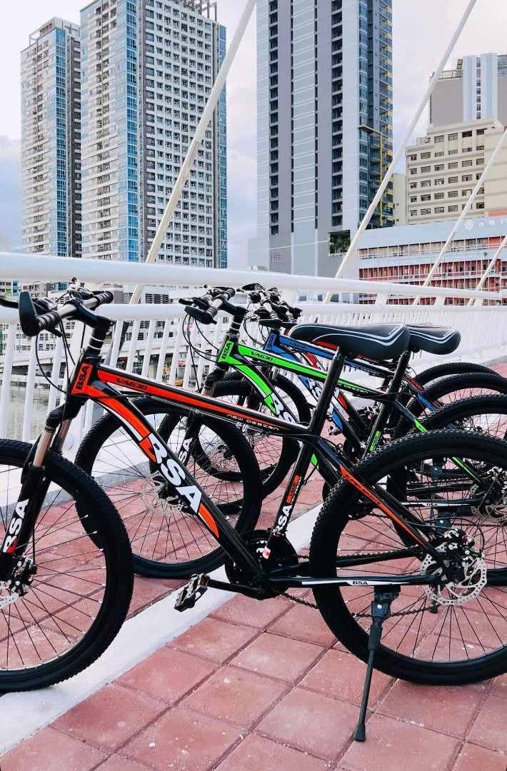 Bsa fat bike outlet