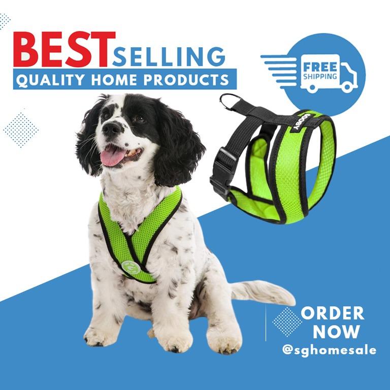 Gooby choke store free harness