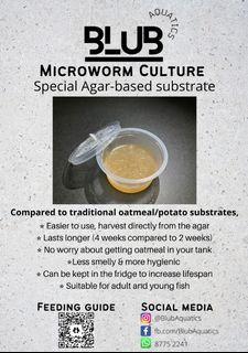 Microworm culture (Special Agar-based) live fish food