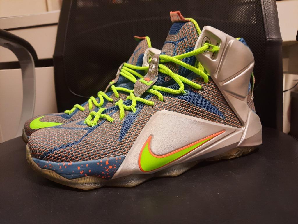 NIKE LEBRON 12 What The LEBRON 28cm