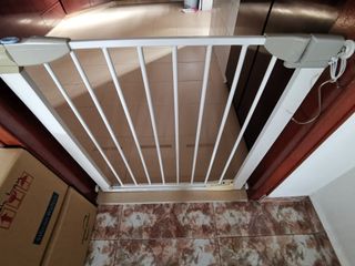 (Category: ) located in . Submitted by fredricklim33 (Listing ID 1161662294, Image 1). Description: .