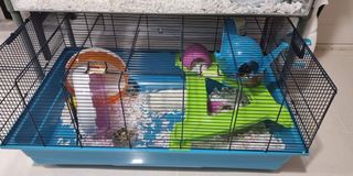 (Category: ) located in . Submitted by always_dreaming (Listing ID 1161740270, Image 1). Description: .