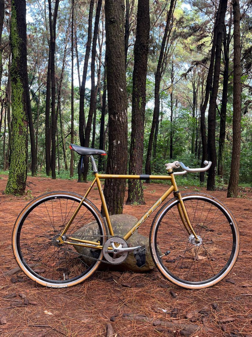 Stang fixie hot sale bullhorn