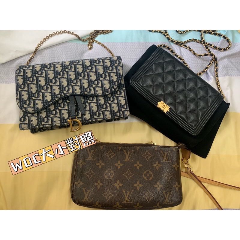 Dior sales woc saddle