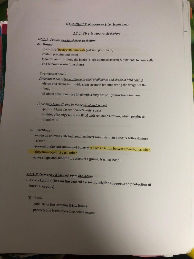 Bio Core Notes 興趣及遊戲 書本 文具 教科書 Carousell