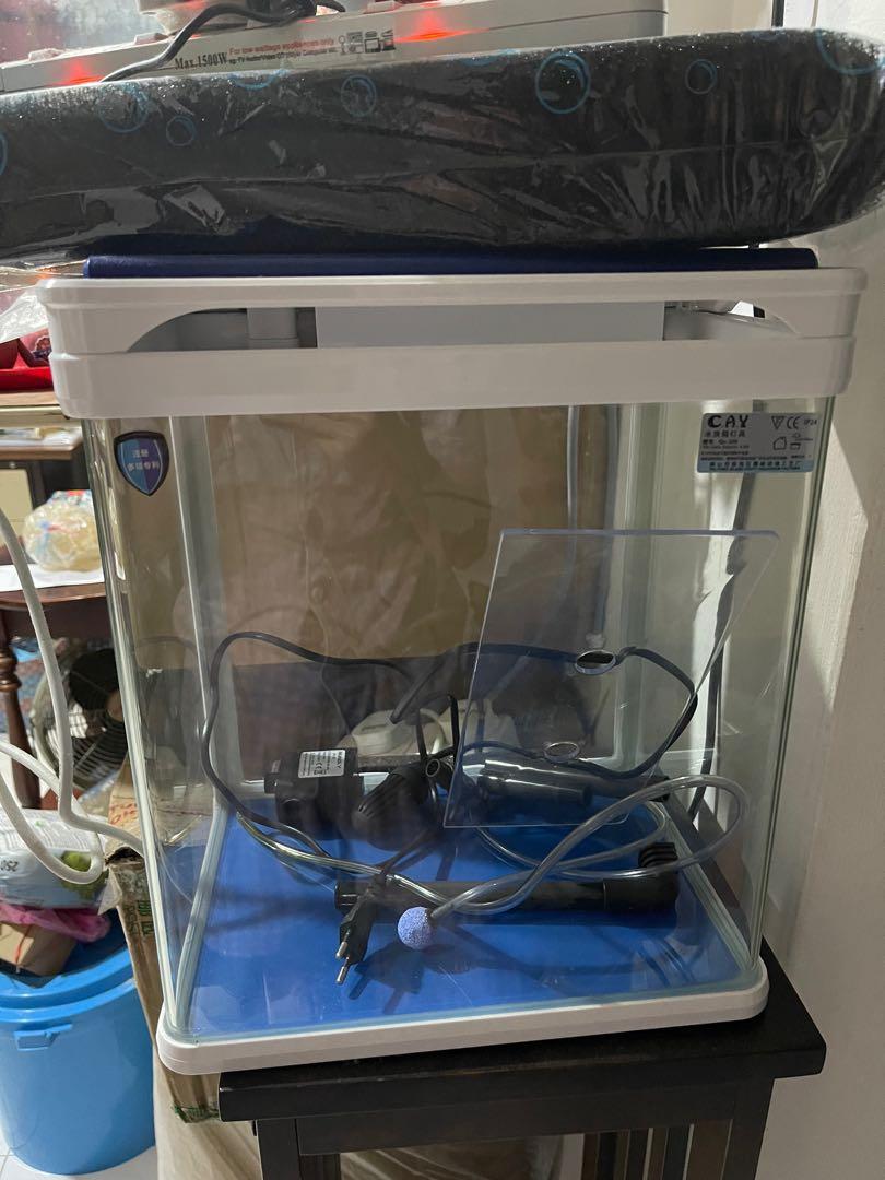 Camry aquarium clearance