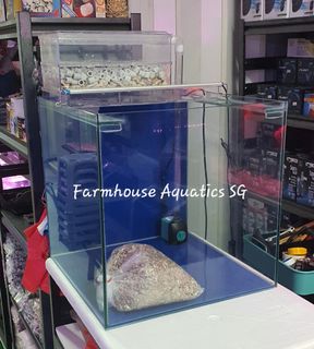 (Category: ) located in . Submitted by cjgthai (Listing ID 1161825609, Image 1). Description: .