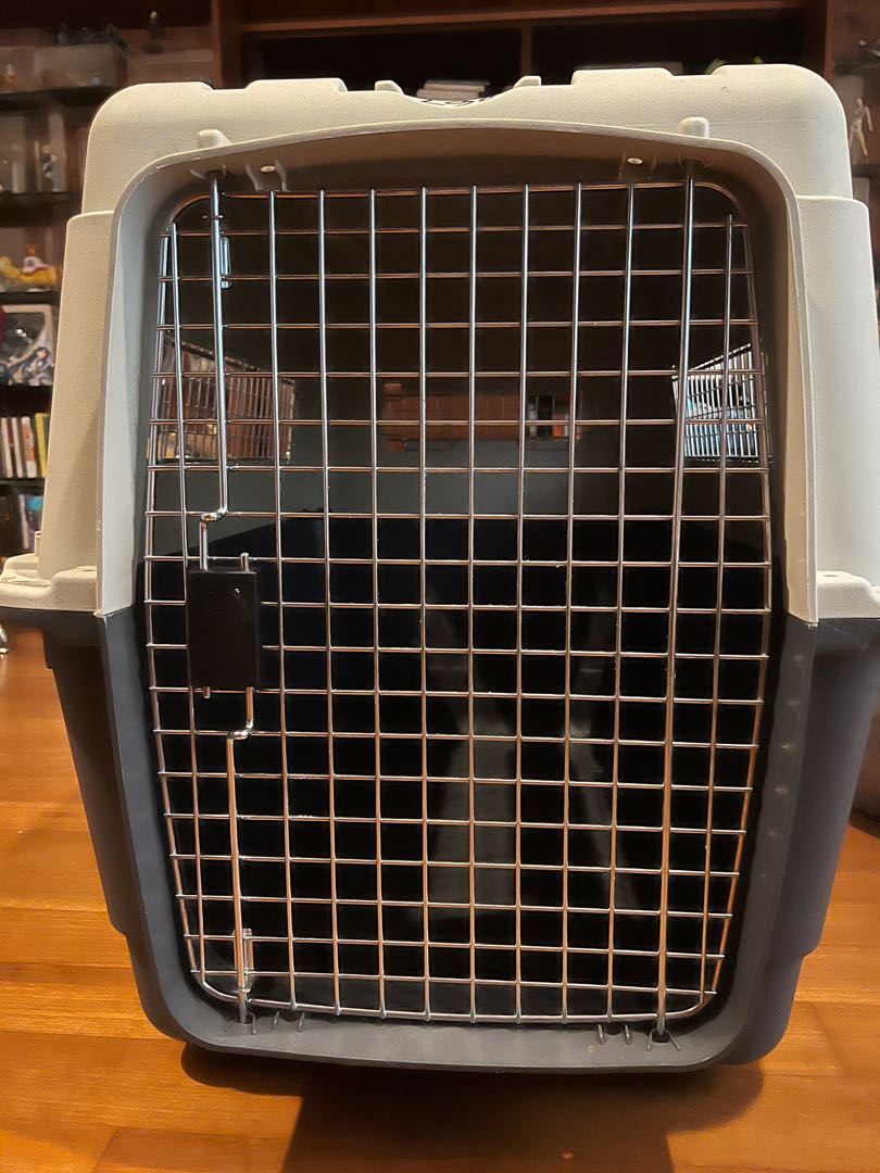 Dog Crate IATA approved, Pet Supplies, Homes & Other Pet Accessories on
