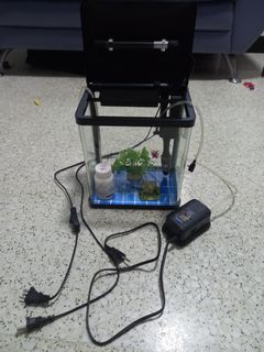(Category: ) located in . Submitted by sika21st (Listing ID 1161950972, Image 1). Description: .