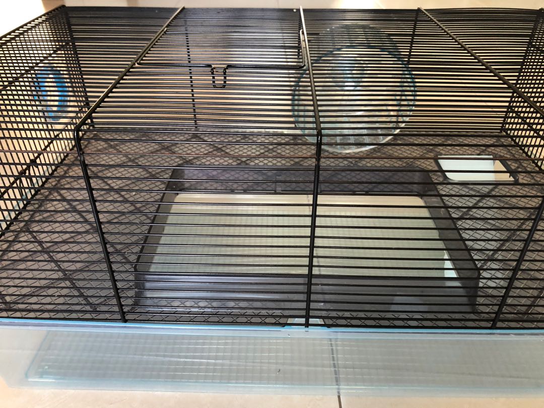 pet gerbil cage