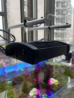 （分類：）位於 。 由 heilson 提交（商品編號 1161809560，圖片 1）。簡介： 。