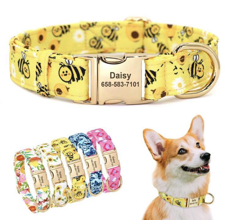 Customised top dog accessories