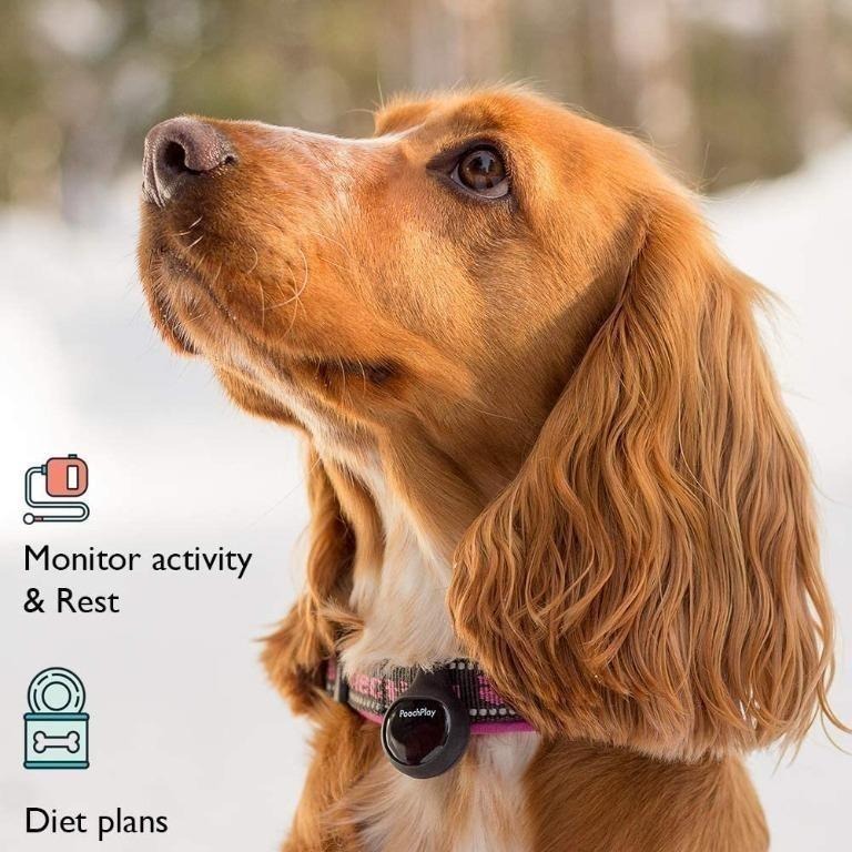 Pooch play on sale tracker