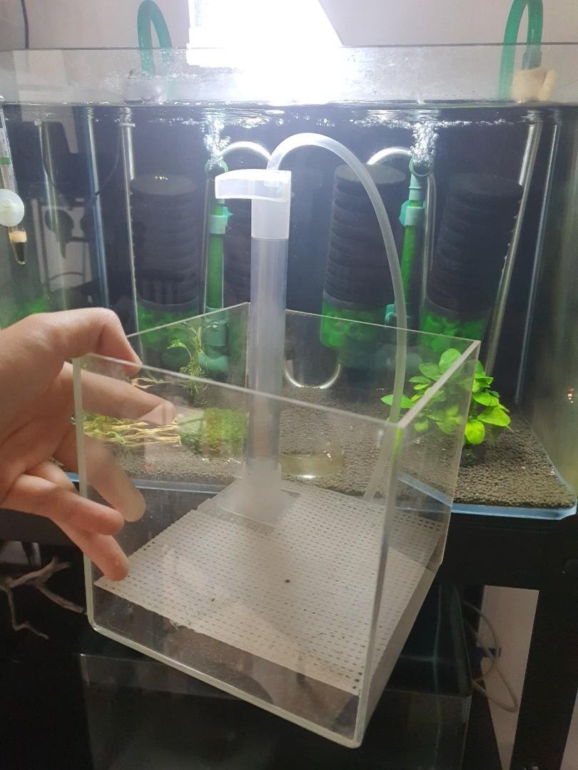 filter undergravel untuk aquascape