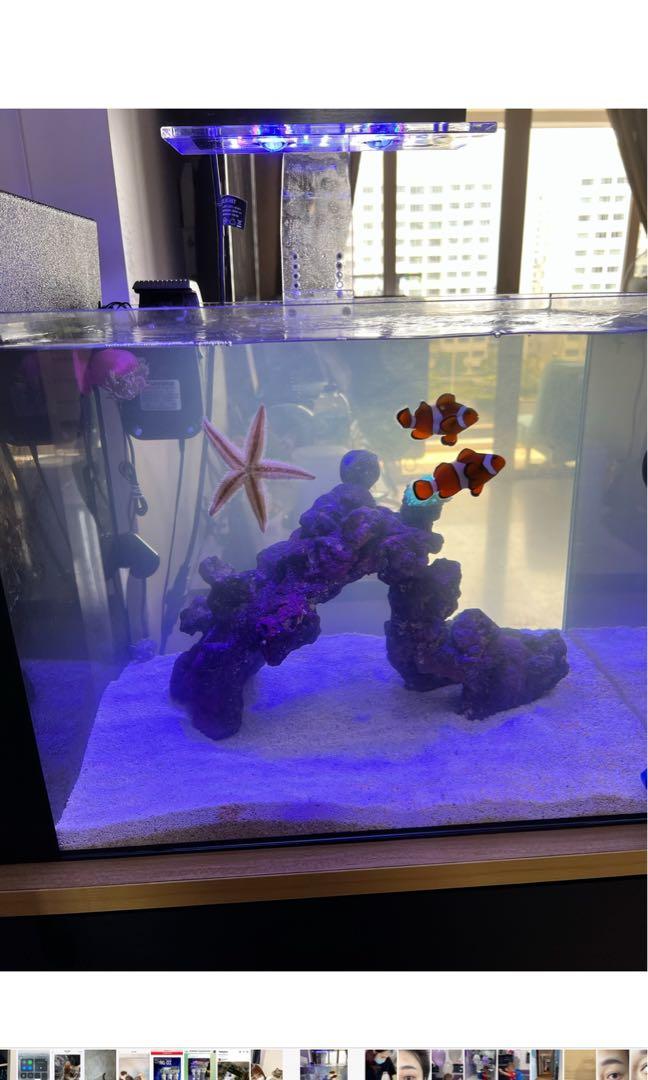 25 gallon cube aquarium stand