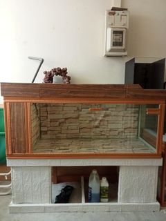 (Category: ) located in . Submitted by Elam8833 (Listing ID 1162178864, Image 1). Description: .