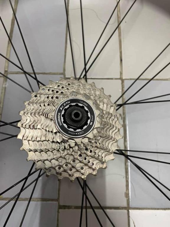 vittoria trainer tyre