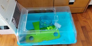(Category: ) located in . Submitted by picanto1979 (Listing ID 1162003737, Image 1). Description: .