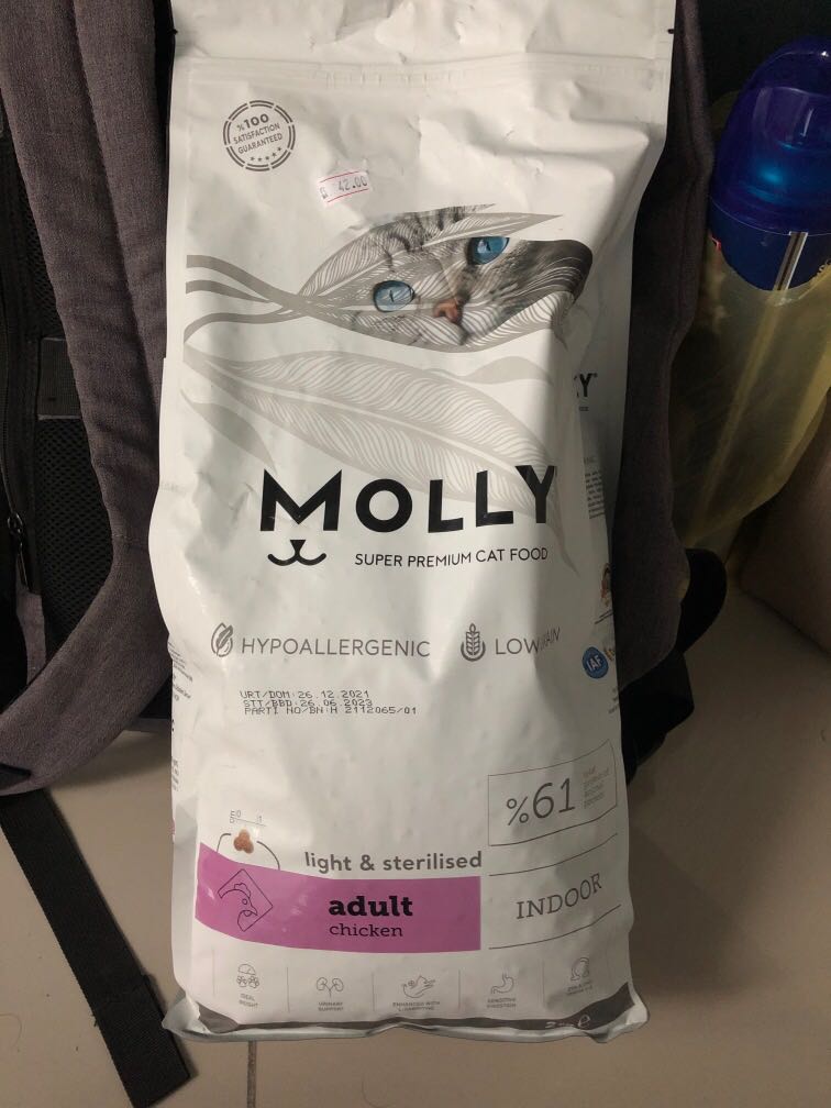 Molly deals kitten food