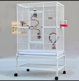 (Category: ) located in . Submitted by petsglam (Listing ID 1162146668, Image 1). Description: .