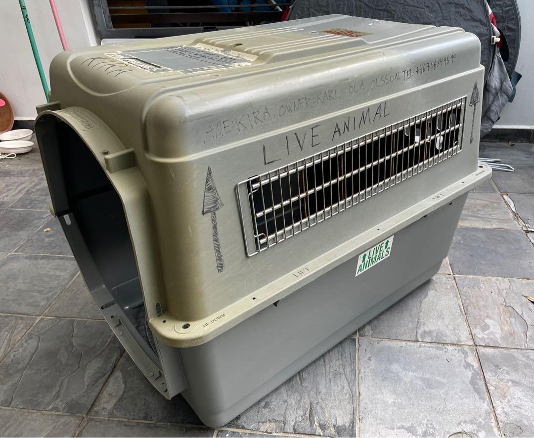 Petmate Sky Kennel Ultra dog crate size XL. Pet Supplies Homes