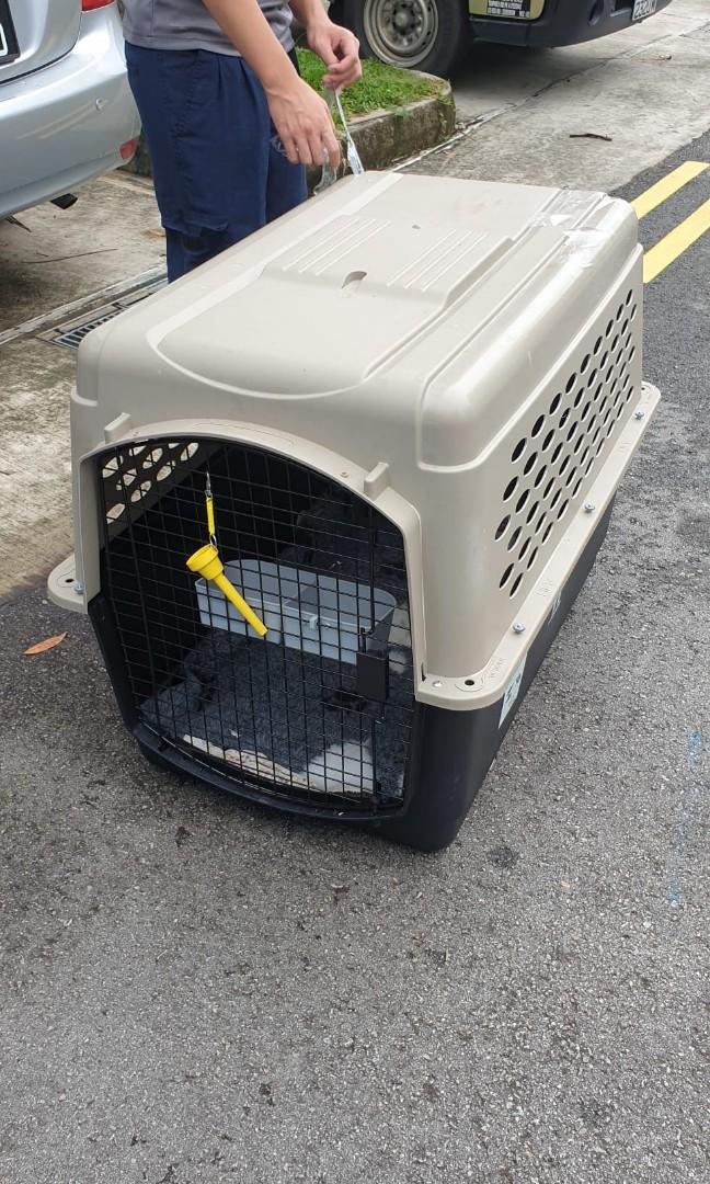 Pp70 top dog crate