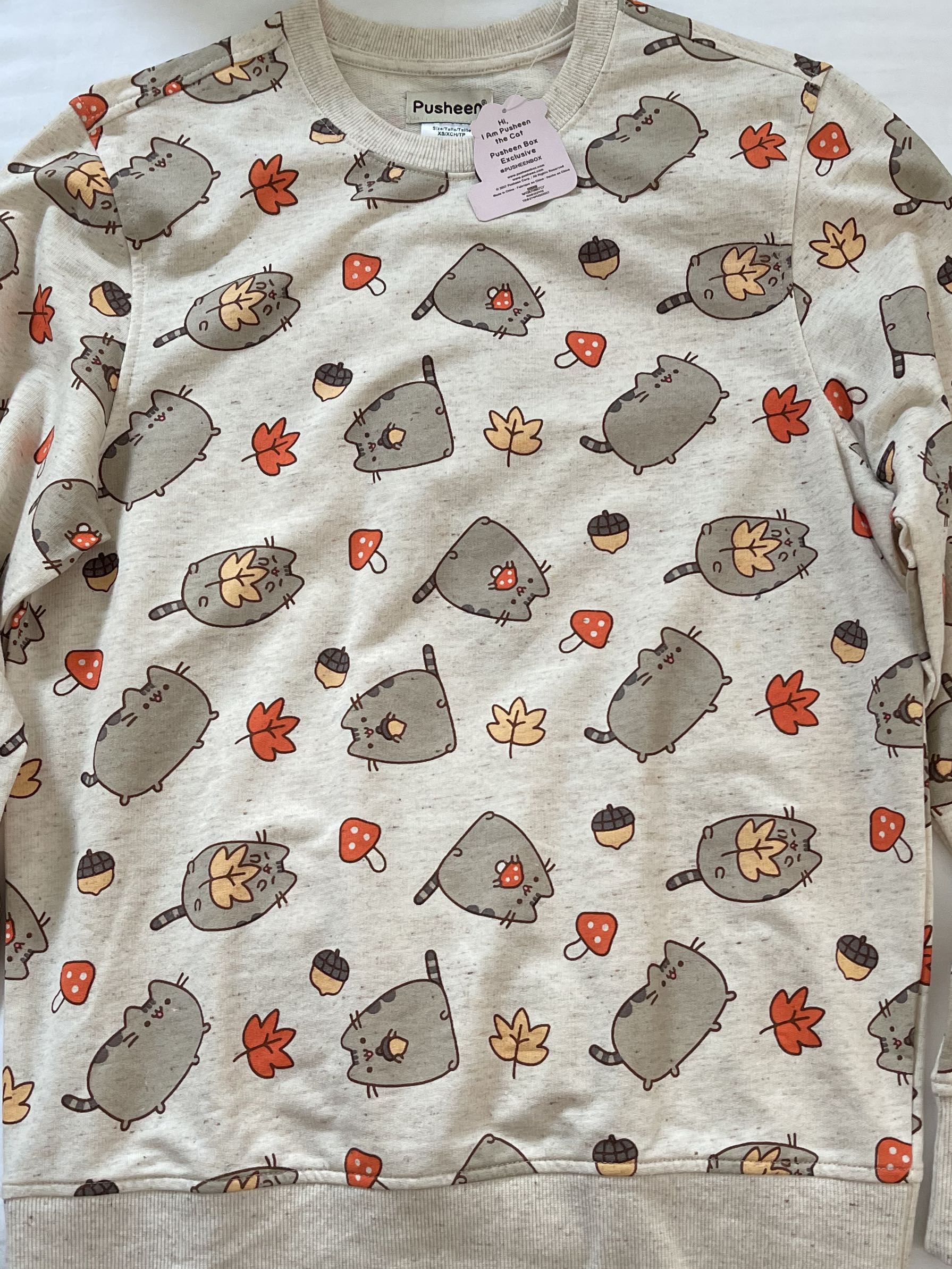 pusheen sweater