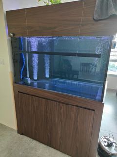 (Category: ) located in . Submitted by yang888 (Listing ID 1159273112, Image 1). Description: .