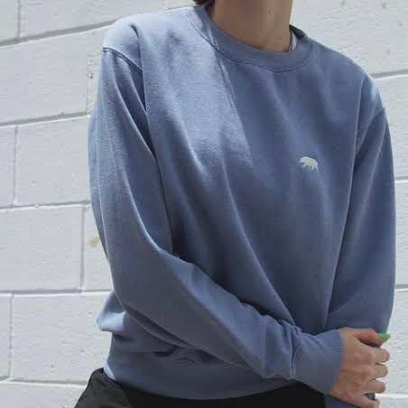Brandy melville erica bear cheap sweatshirt
