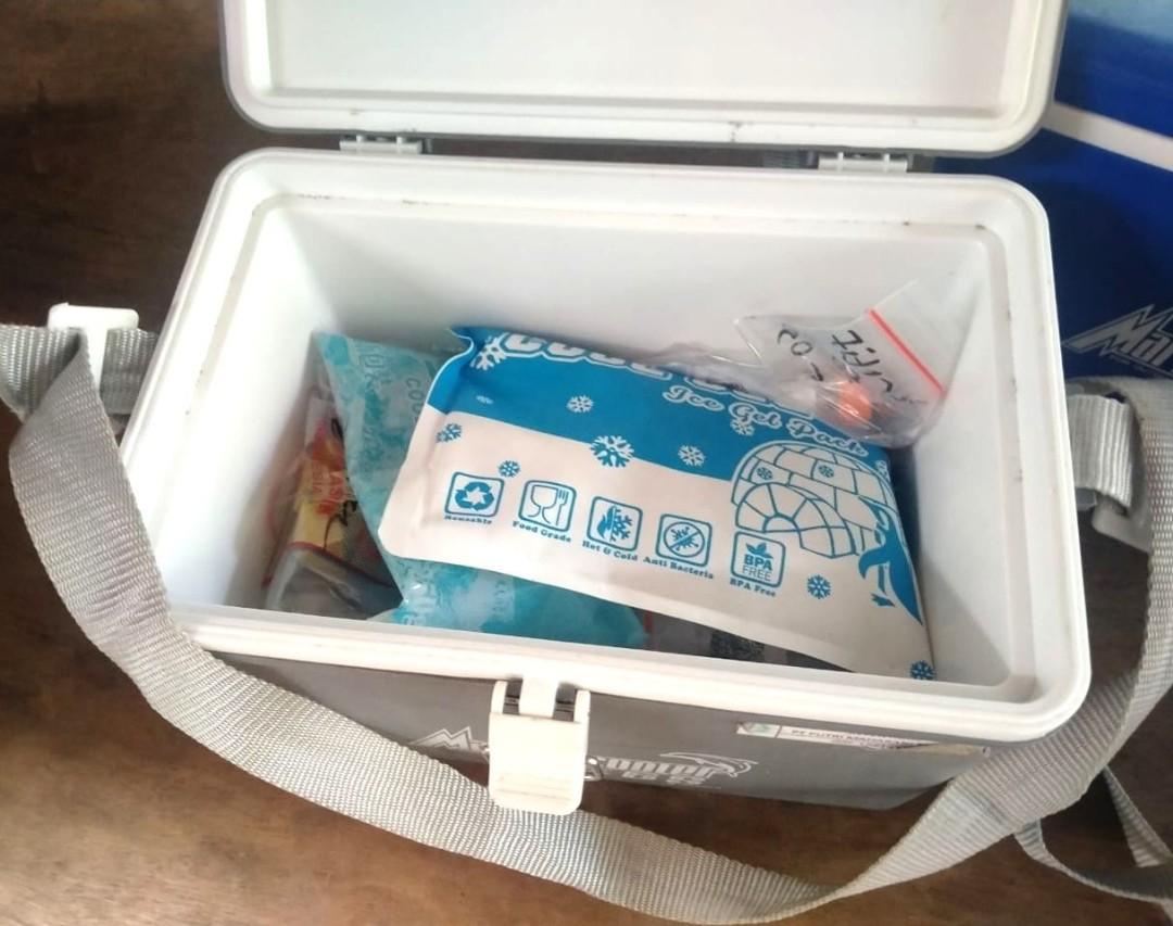 Cooler Box Vaccine Carrier Box GIANT Cool Box, Kitchen & Appliances di