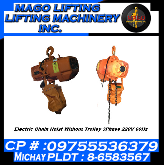 Electric Chain Hoist Without Trolley 3Phase 220V 60Hz 1Tons x 6Meters