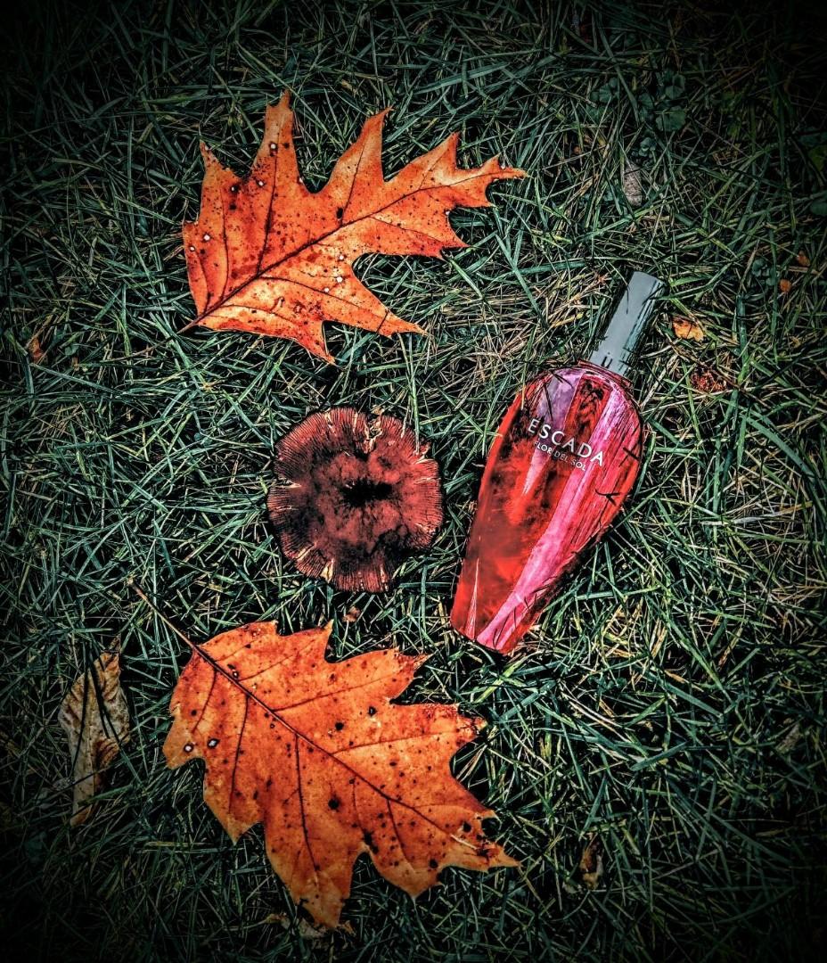 Escada flor del sol eau de toilette online spray reviews