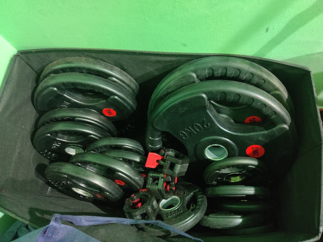 Gym Weights (Olympic Size 2 inch hole), Sports Equipment, Exercise