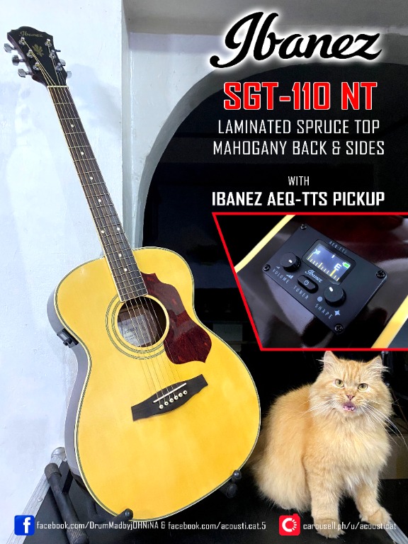 Ibanez sgt110 online