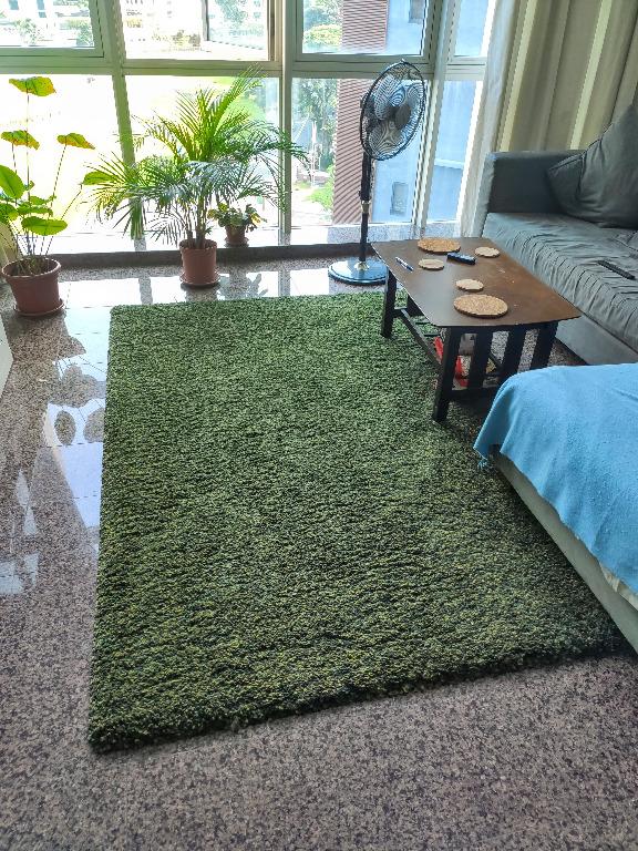 Ikea 2025 green rug